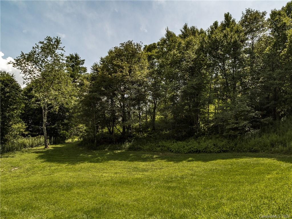 15.07-acres Ebby Ridge Road, Unit NONE Fairview, NC 28730 - Photo 11 of 34