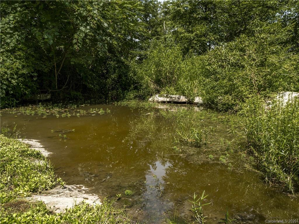 15.07-acres Ebby Ridge Road, Unit NONE Fairview, NC 28730 - Photo 12 of 34
