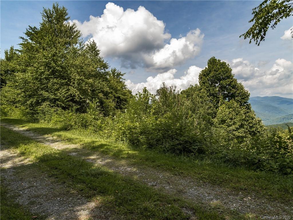 15.07-acres Ebby Ridge Road, Unit NONE Fairview, NC 28730 - Photo 17 of 34