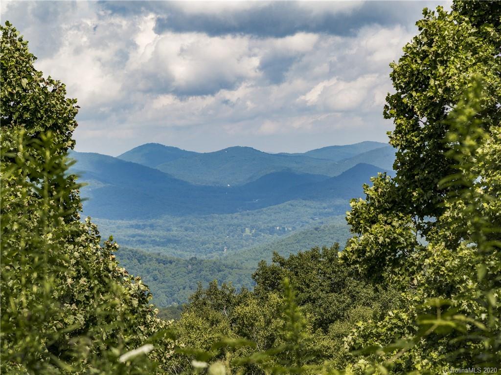 15.07-acres Ebby Ridge Road, Unit NONE Fairview, NC 28730 - Photo 3 of 34