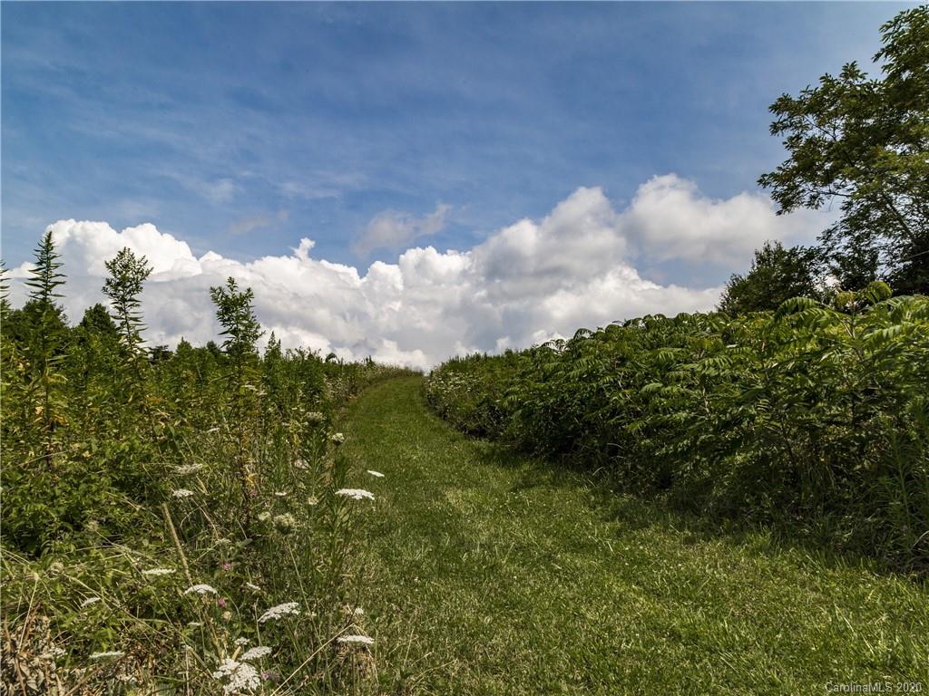 15.07-acres Ebby Ridge Road, Unit NONE Fairview, NC 28730 - Photo 33 of 34