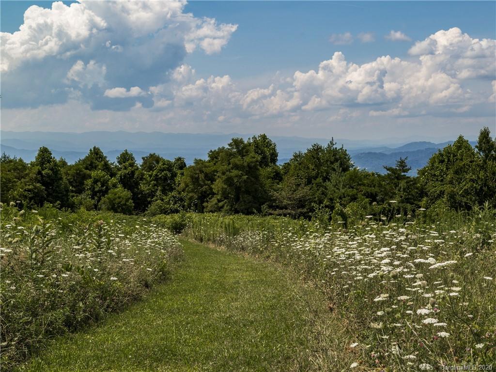 15.07-acres Ebby Ridge Road, Unit NONE Fairview, NC 28730 - Photo 34 of 34