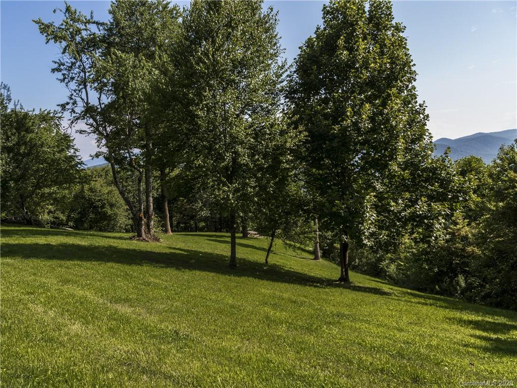 15.07-acres Ebby Ridge Road, Unit NONE Fairview, NC 28730 - Photo 5 of 34