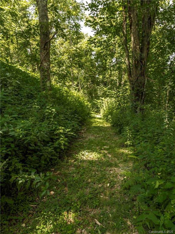 15.07-acres Ebby Ridge Road, Unit NONE Fairview, NC 28730 - Photo 10 of 34