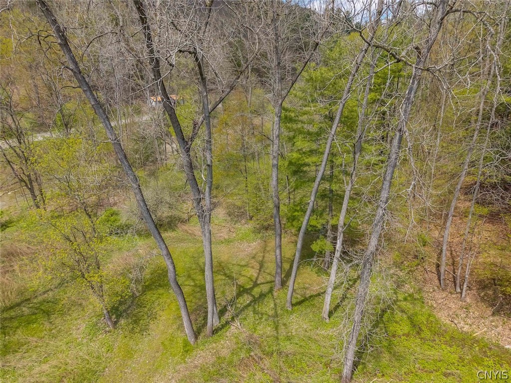 6116 Cunningham Creek Road Canisteo, NY 14823 - Photo 44 of 50