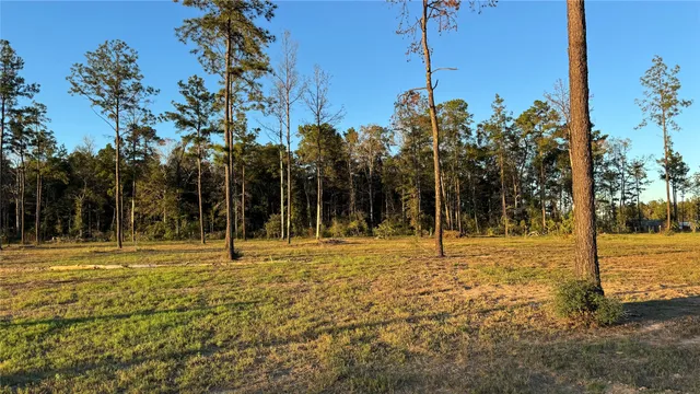 $105,000 | 20039 Kincaid Drive, Conroe, TX 77306