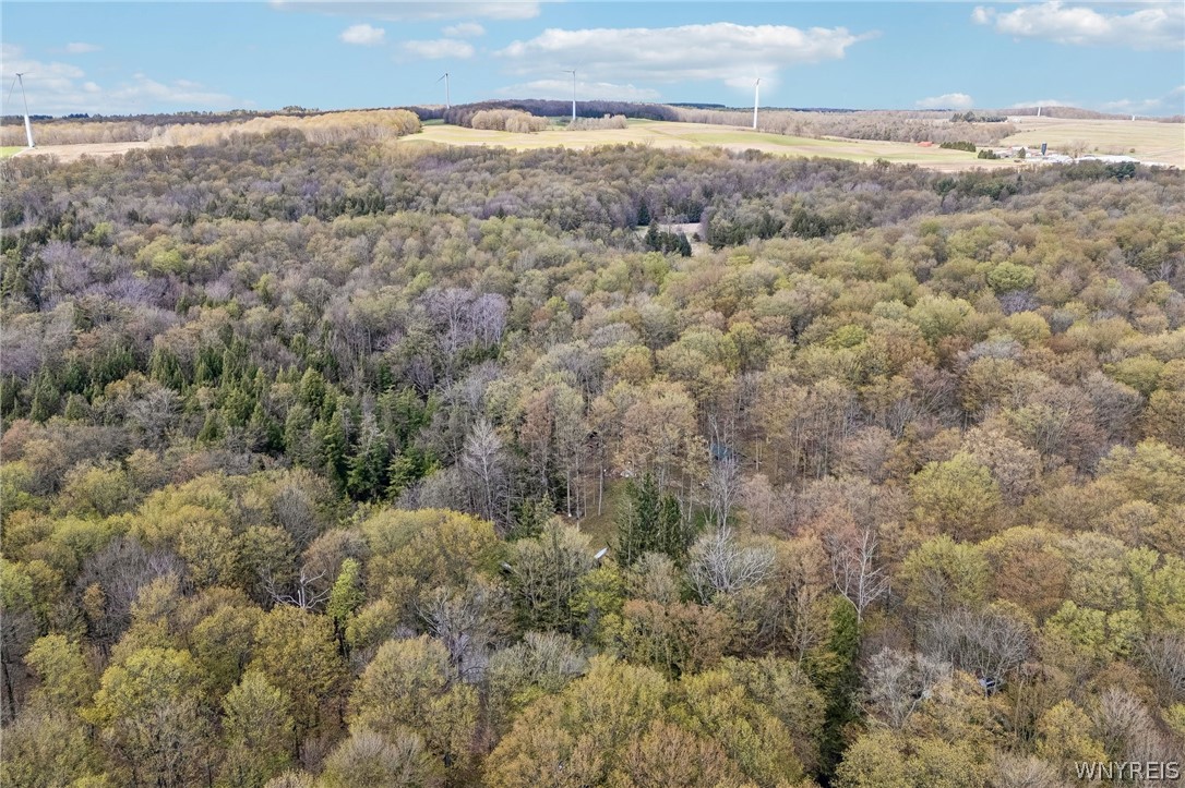 3890 Weber Road Orangeville, NY 14569 - Photo 37 of 40