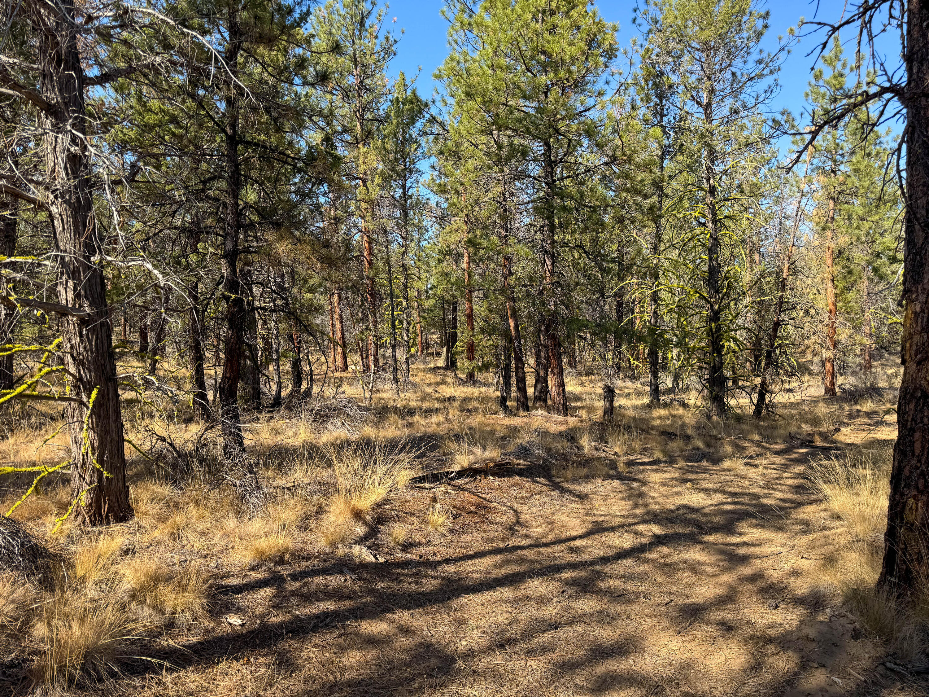 17390 Big Buck Road Sisters, OR 97759 - Photo 2 of 35 13790 Big Buck rd-2