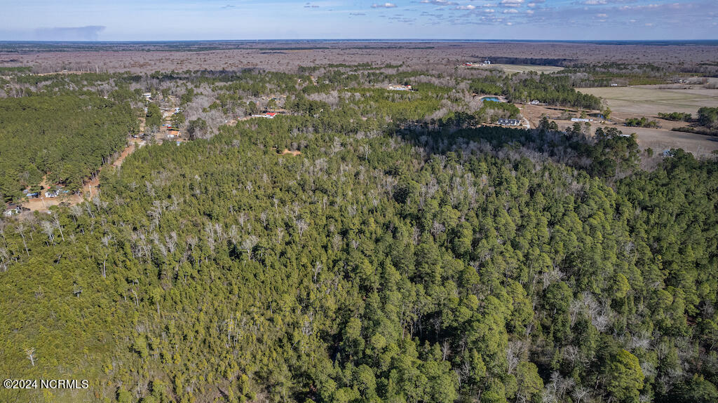 0 Hallsboro Road South Whiteville, NC 28472 - Photo 14 of 27 14