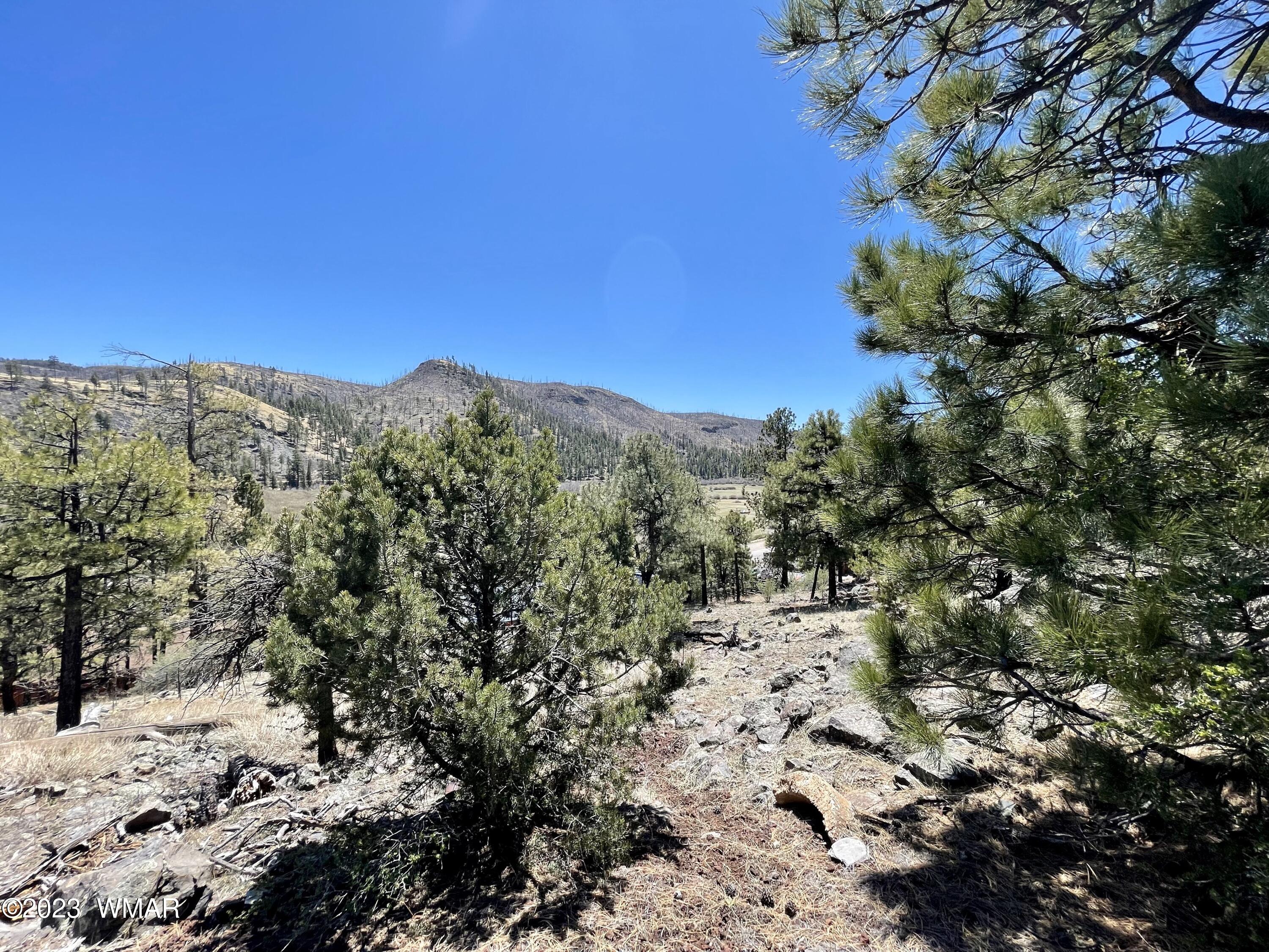 2 1013 Greer, AZ 85927 - Photo 12 of 28 Lot