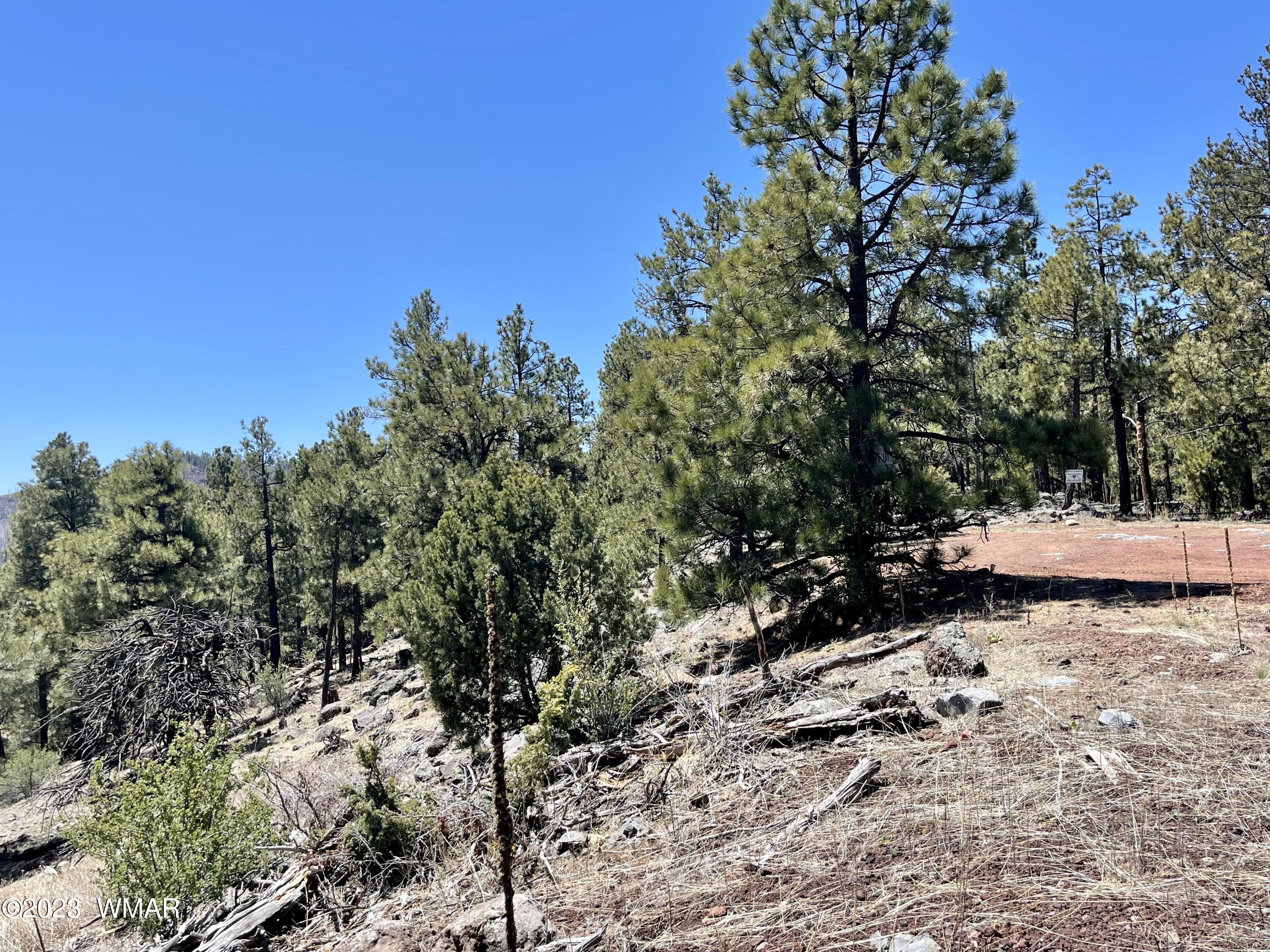 2 1013 Greer, AZ 85927 - Photo 13 of 28 Lot