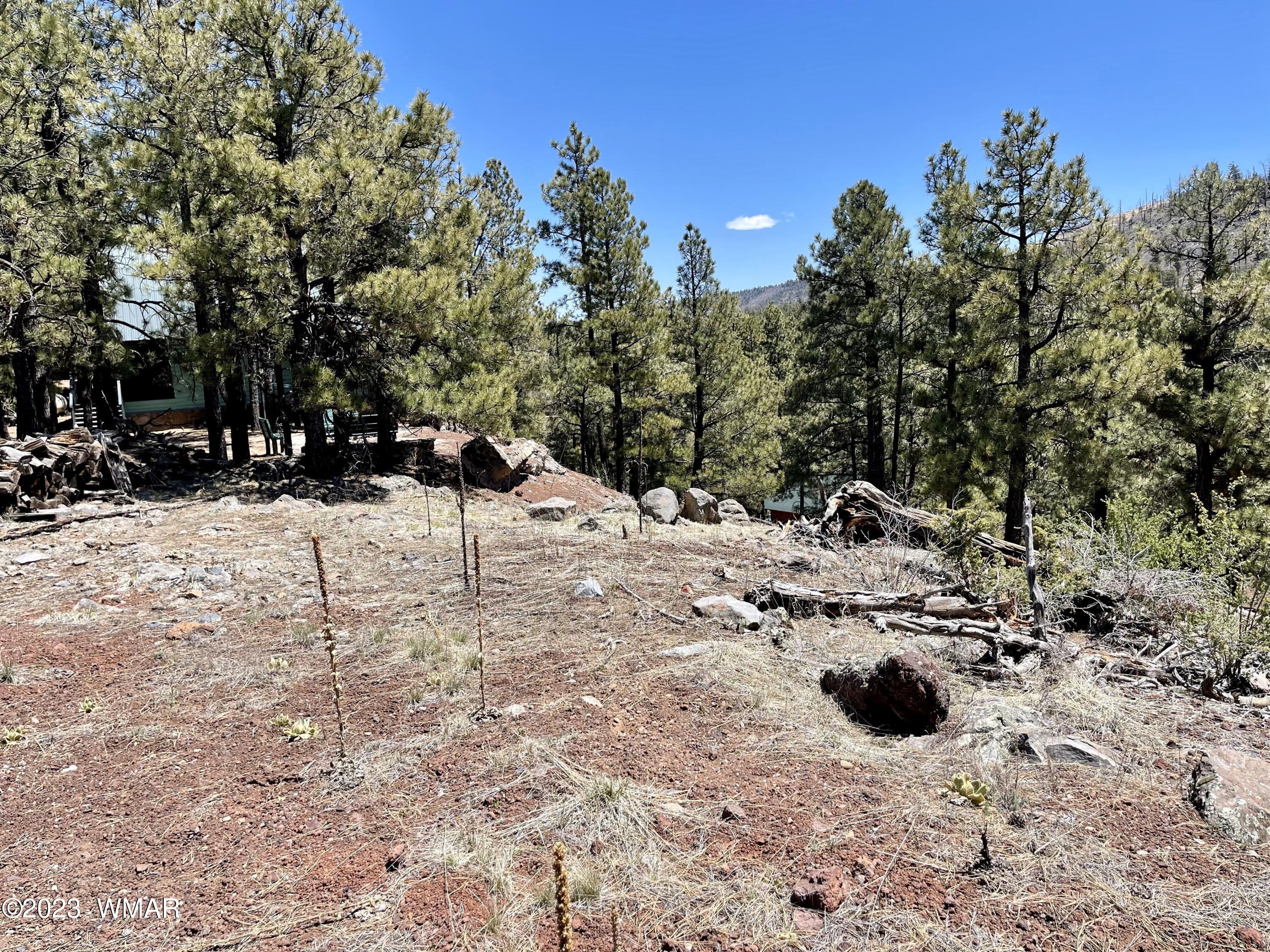 2 1013 Greer, AZ 85927 - Photo 15 of 28 Lot