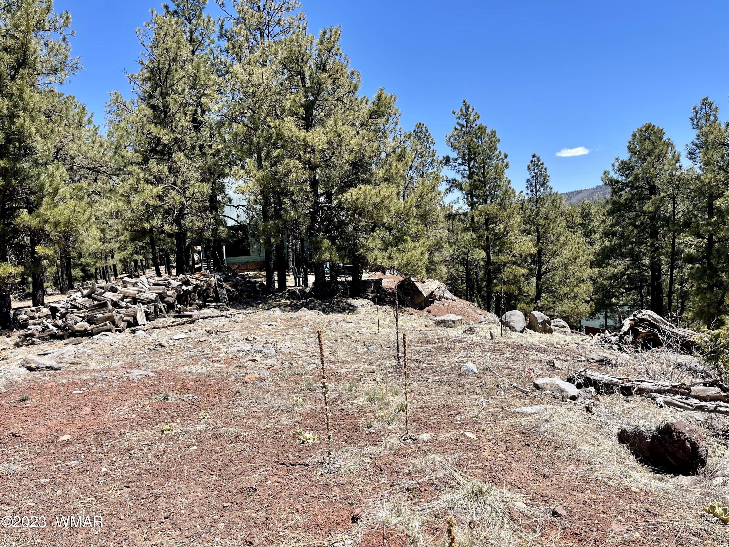 2 1013 Greer, AZ 85927 - Photo 16 of 28 Lot