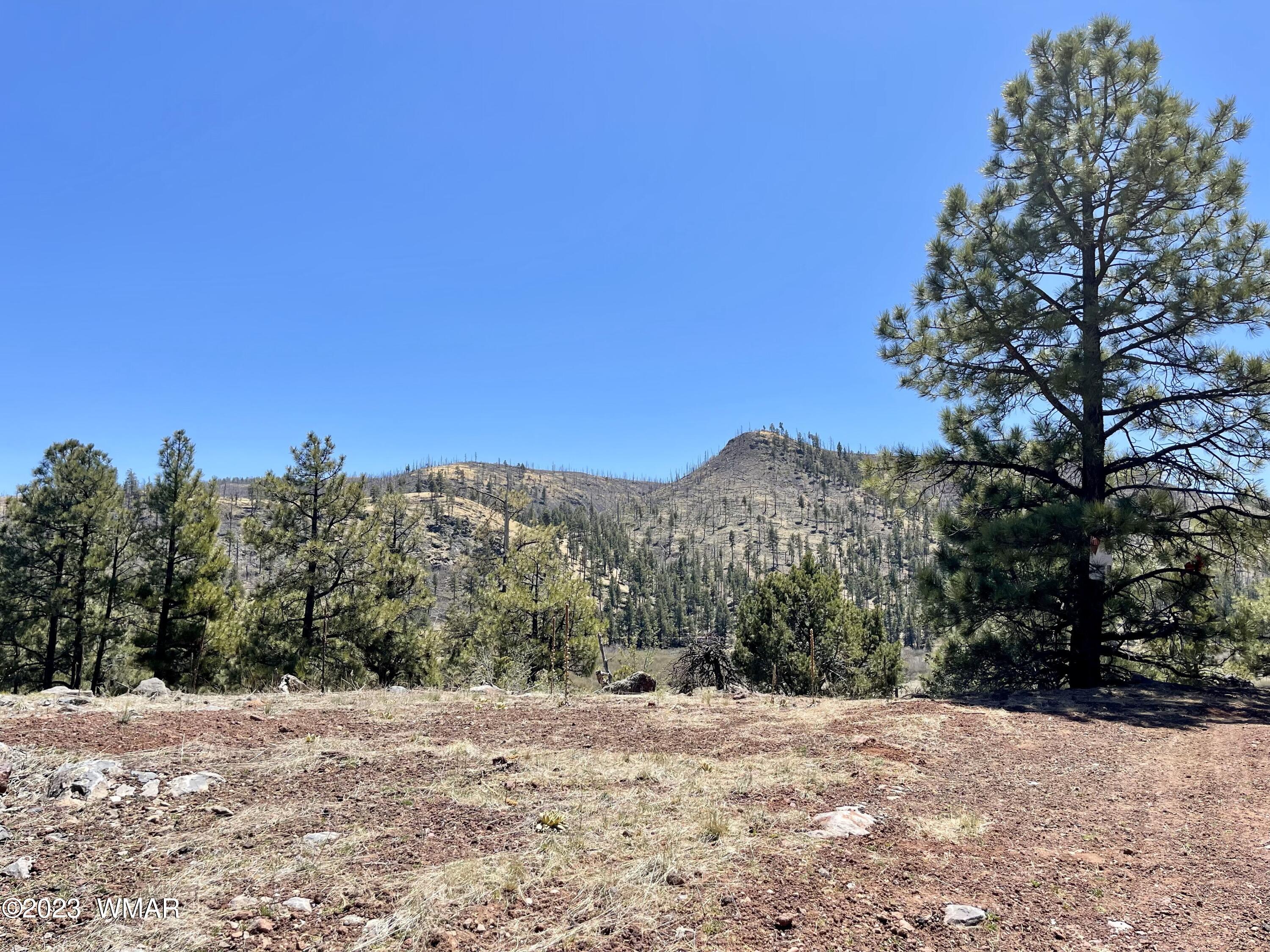 2 1013 Greer, AZ 85927 - Photo 18 of 28 Lot view from culdesac