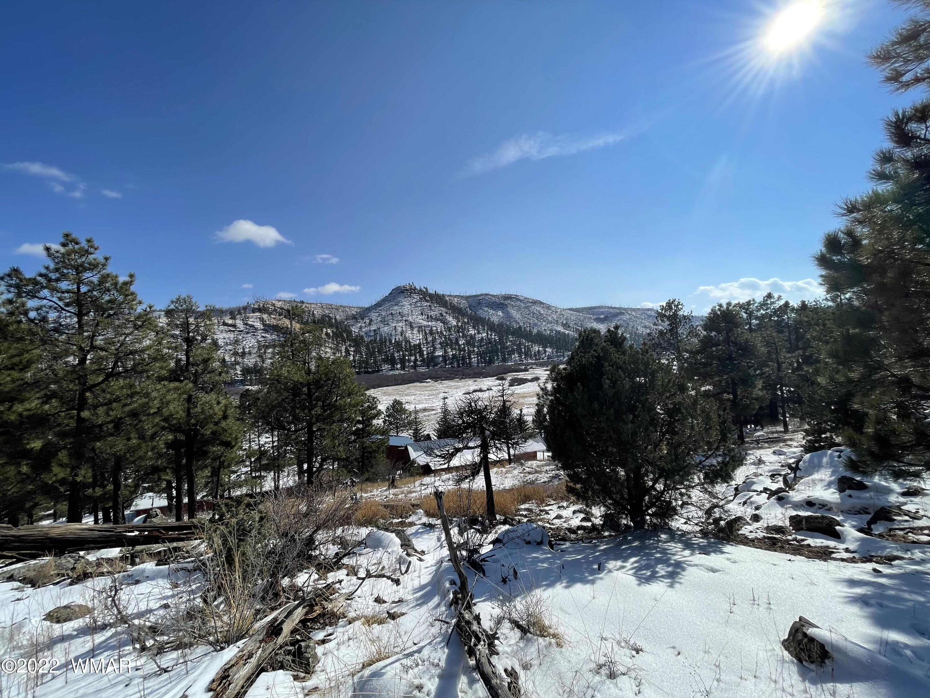2 1013 Greer, AZ 85927 - Photo 20 of 28 Lot