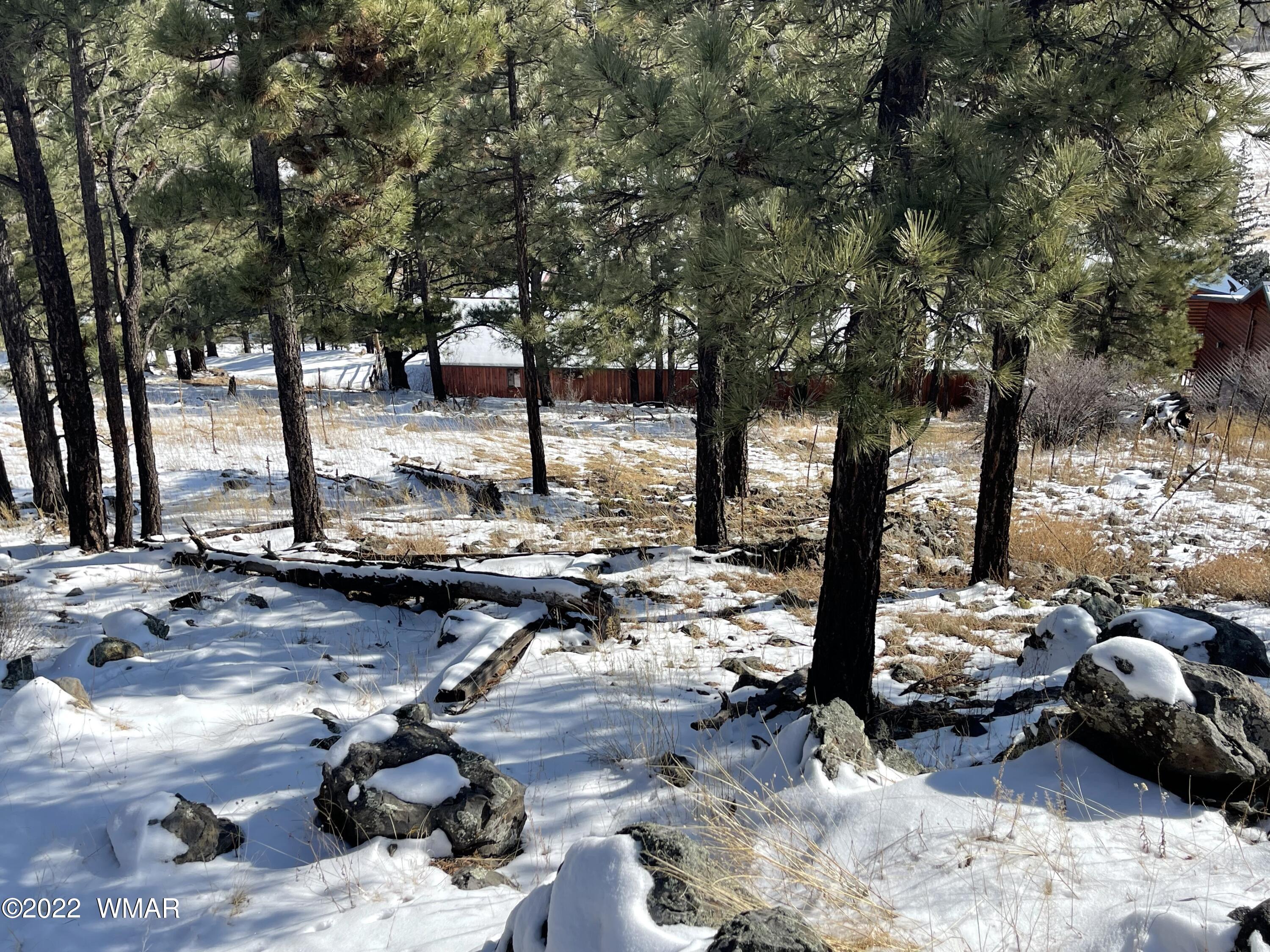 2 1013 Greer, AZ 85927 - Photo 22 of 28 Lot