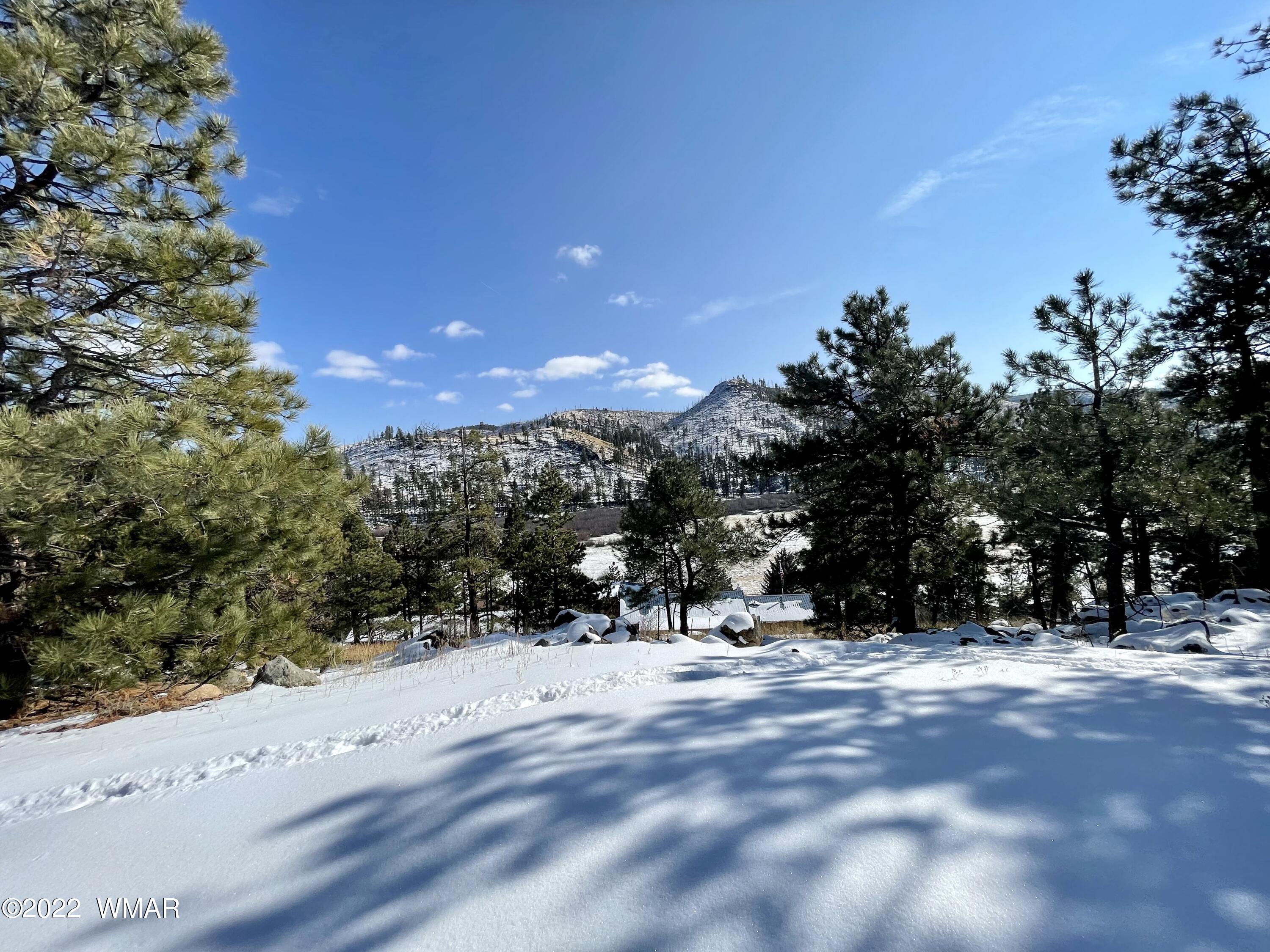 2 1013 Greer, AZ 85927 - Photo 25 of 28 Lot