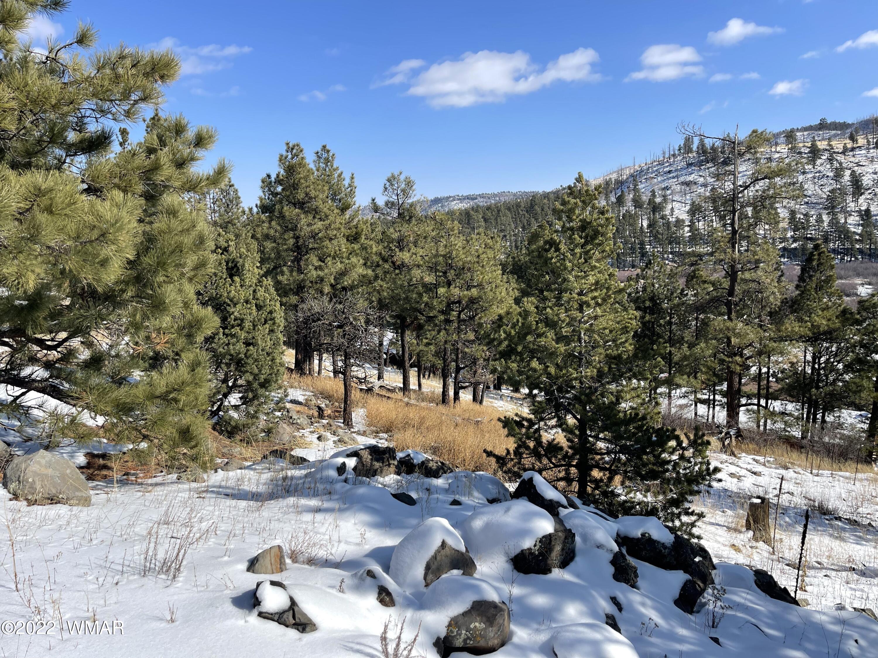 2 1013 Greer, AZ 85927 - Photo 26 of 28 Lot