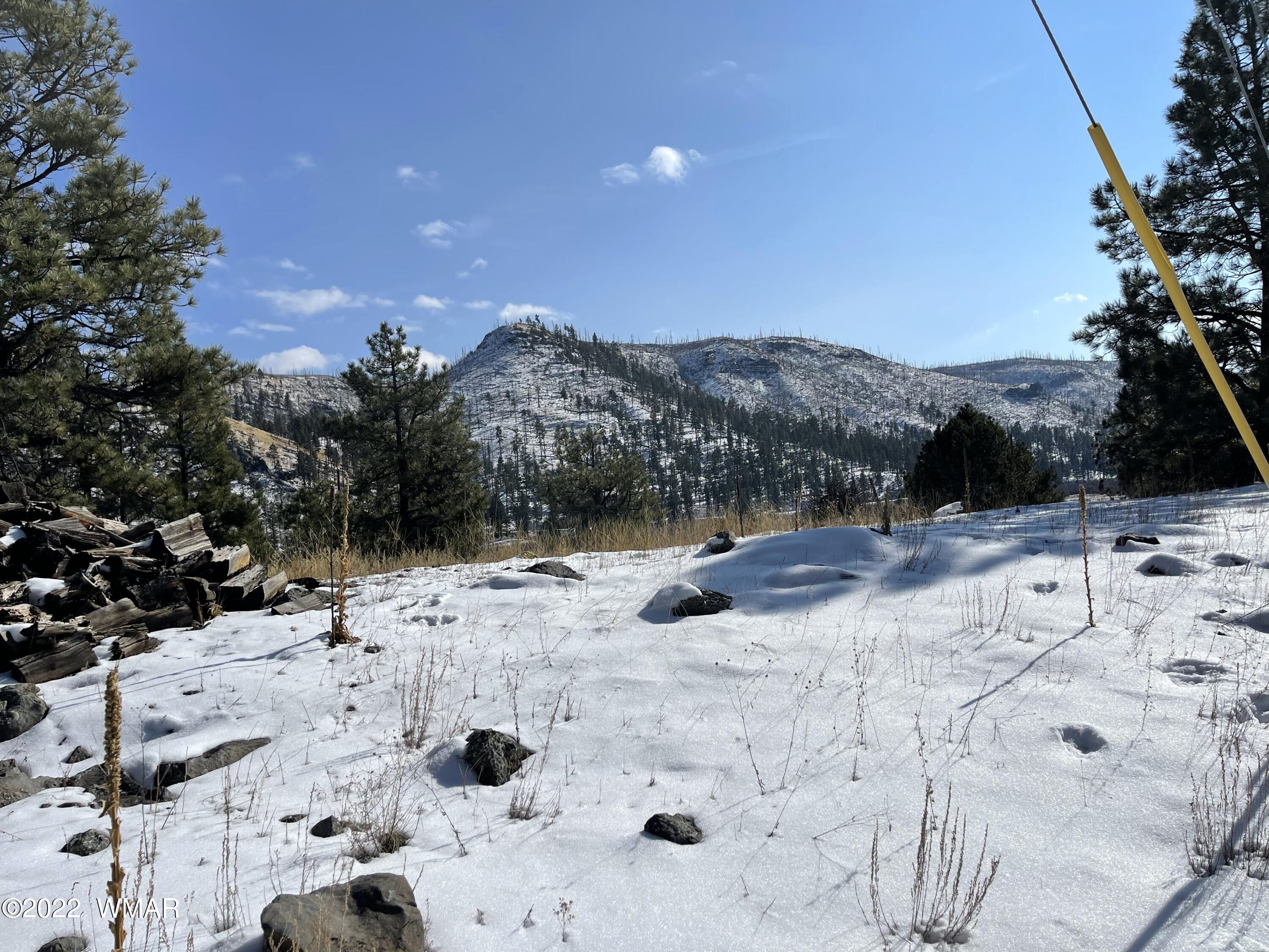 2 1013 Greer, AZ 85927 - Photo 28 of 28 Corner of Lot