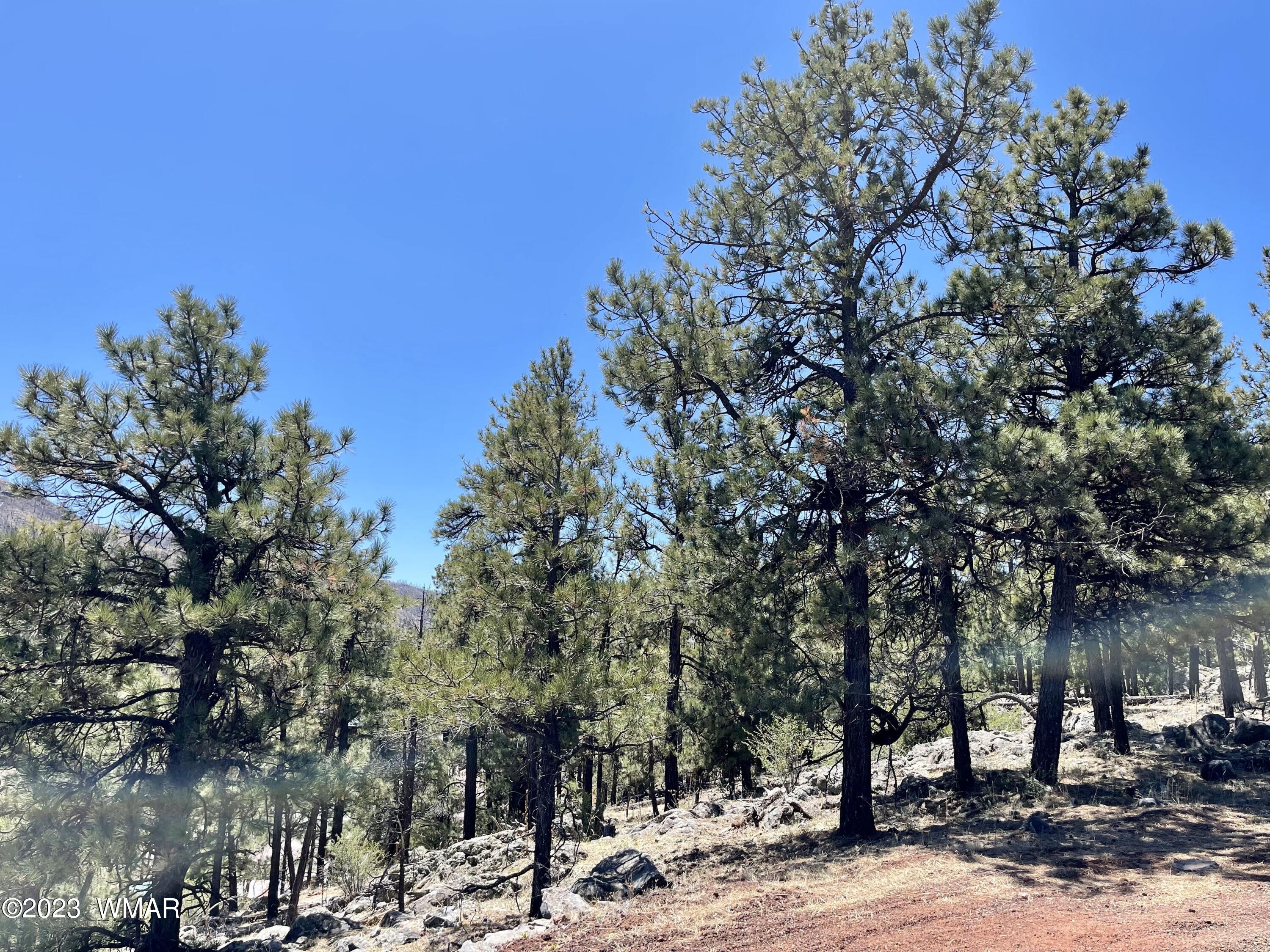 2 1013 Greer, AZ 85927 - Photo 4 of 28 Lot
