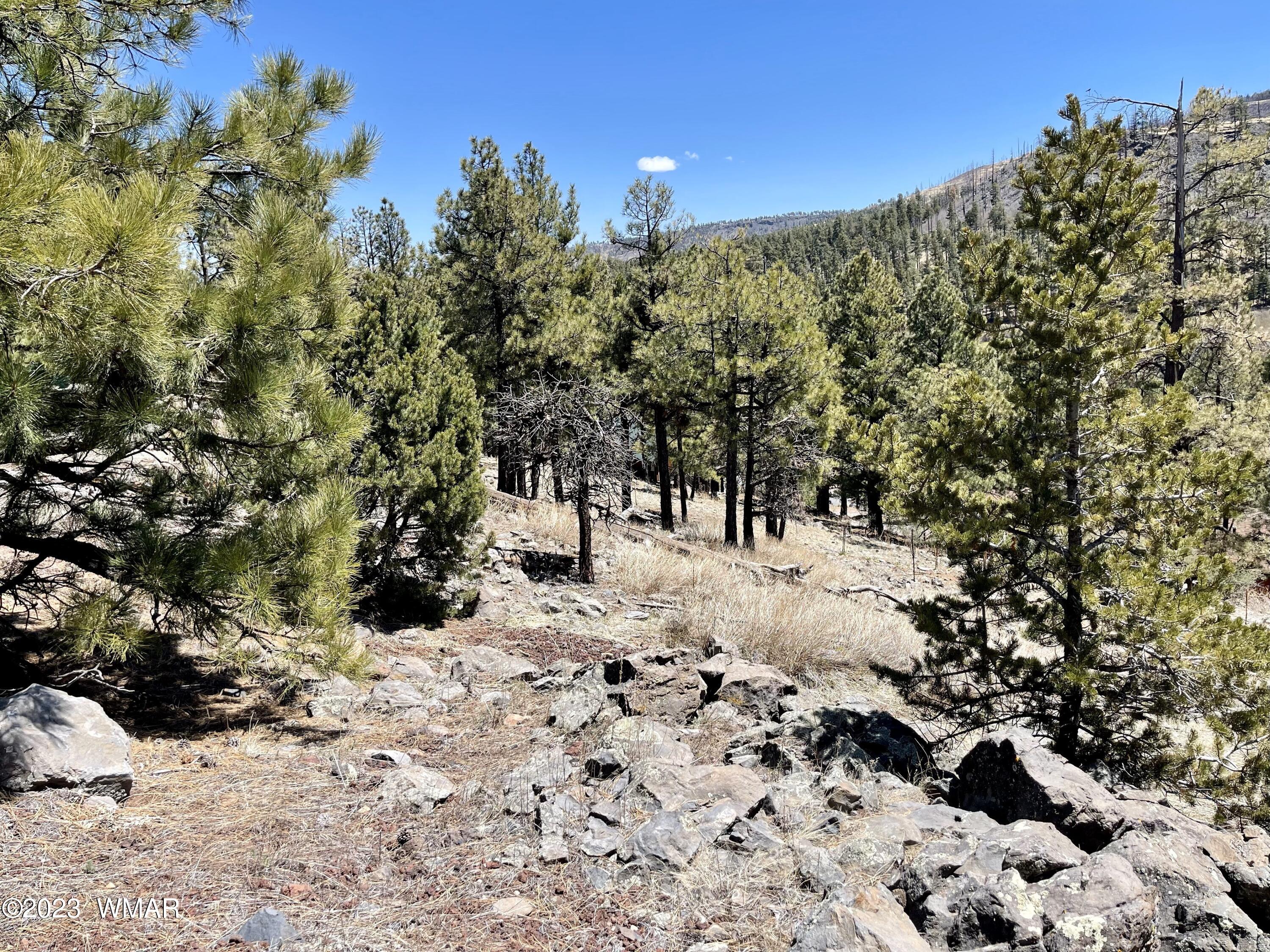 2 1013 Greer, AZ 85927 - Photo 5 of 28 Lot