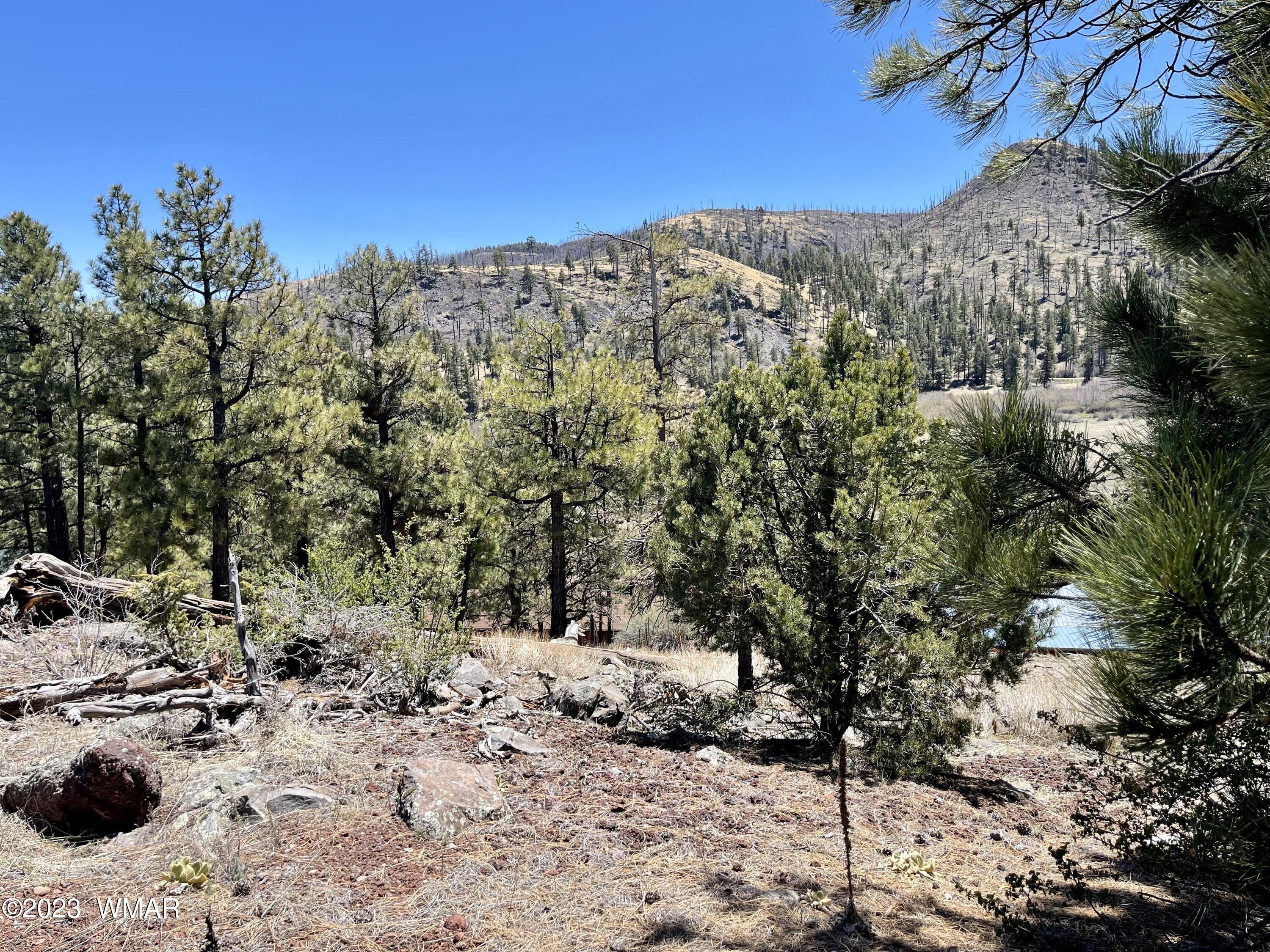 2 1013 Greer, AZ 85927 - Photo 6 of 28 Lot