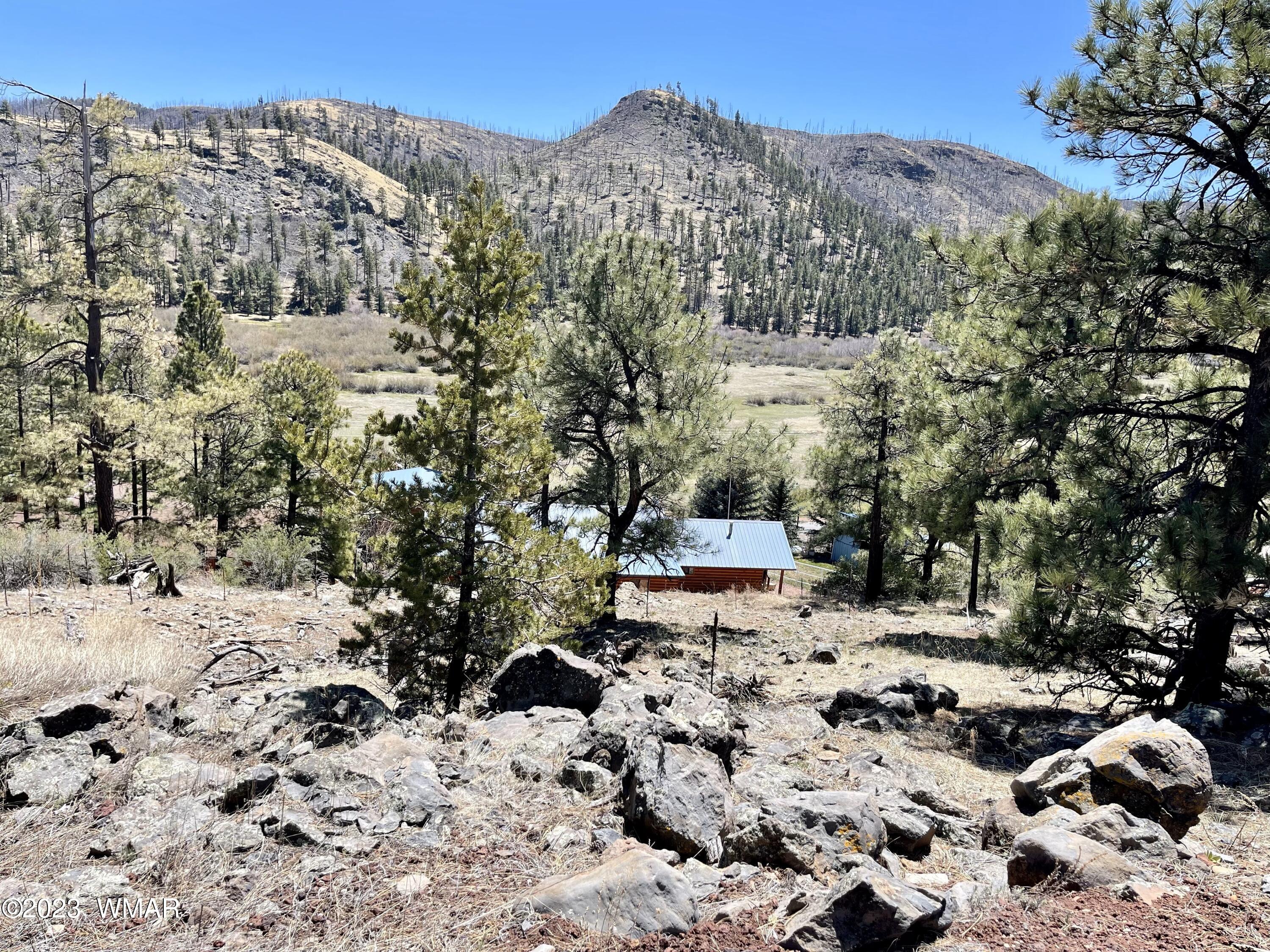 2 1013 Greer, AZ 85927 - Photo 7 of 28 Lot with a view!