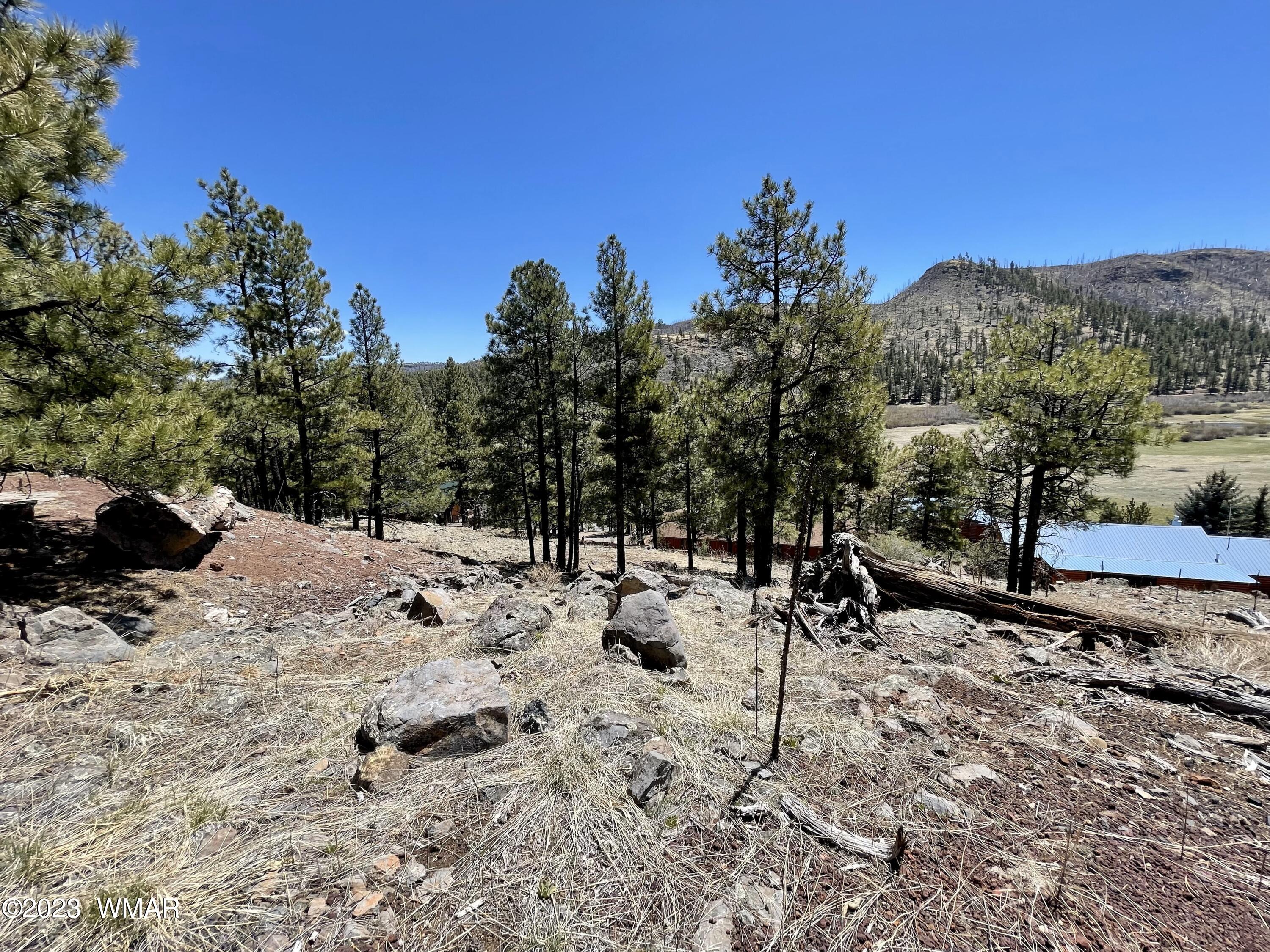 2 1013 Greer, AZ 85927 - Photo 10 of 28 Lot