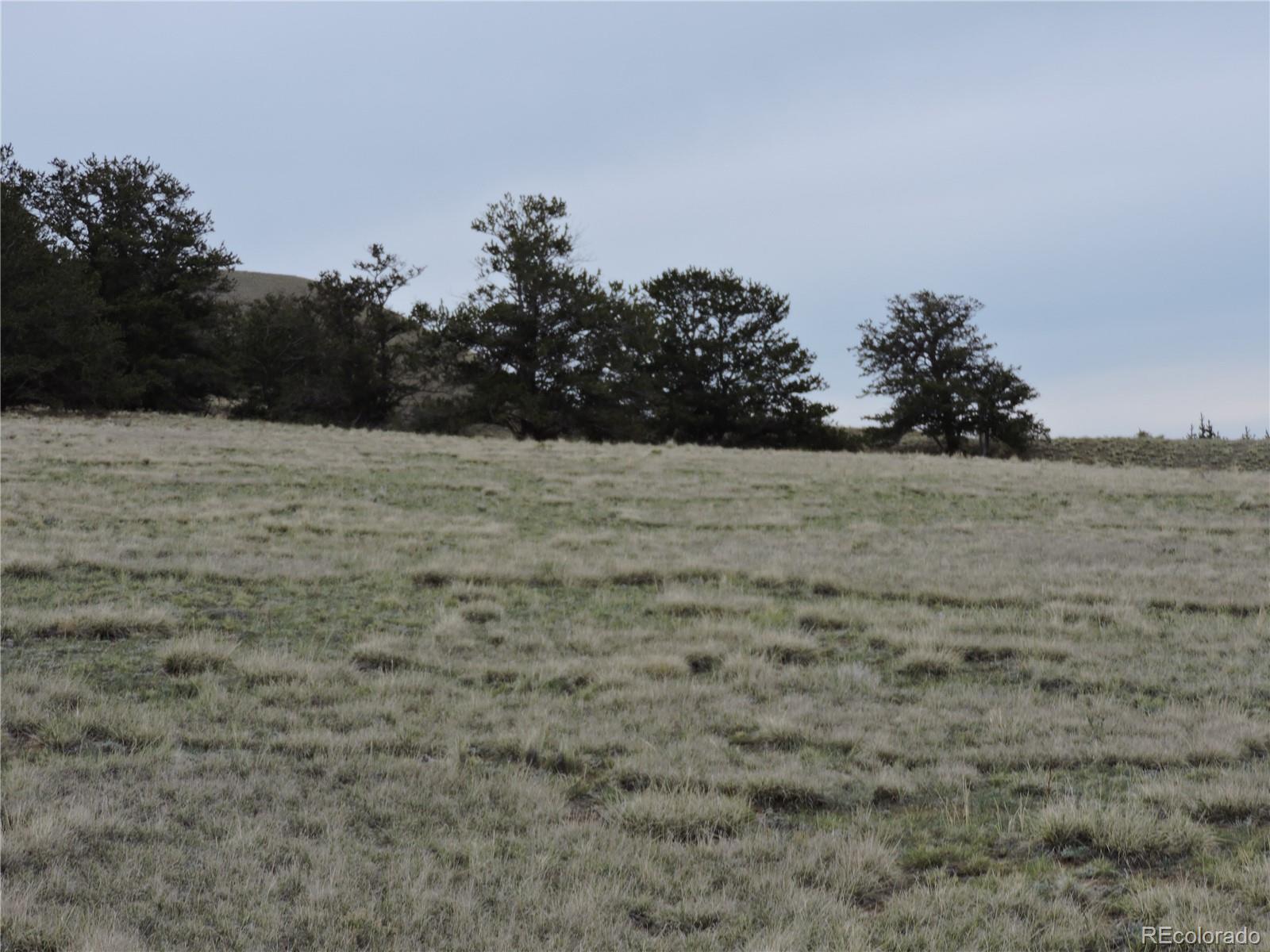825 Basinview Road Como, CO 80432 - Photo 10 of 21 Gallery Image 10