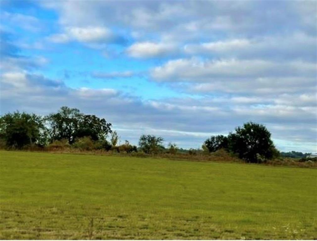 0 Ardoin Cove Road Welsh, LA 70591 - Photo 3 of 3 Gallery Image 3