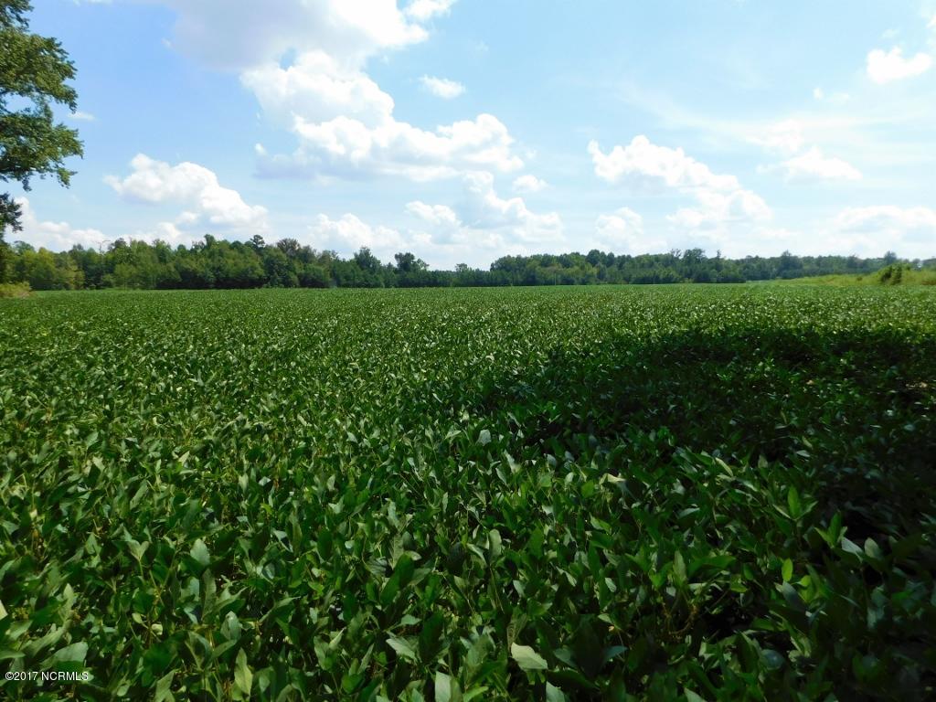 128.25 Ac Off Alton Road Lucama, NC 27851 - Photo 34 of 48 30 (1024x768)