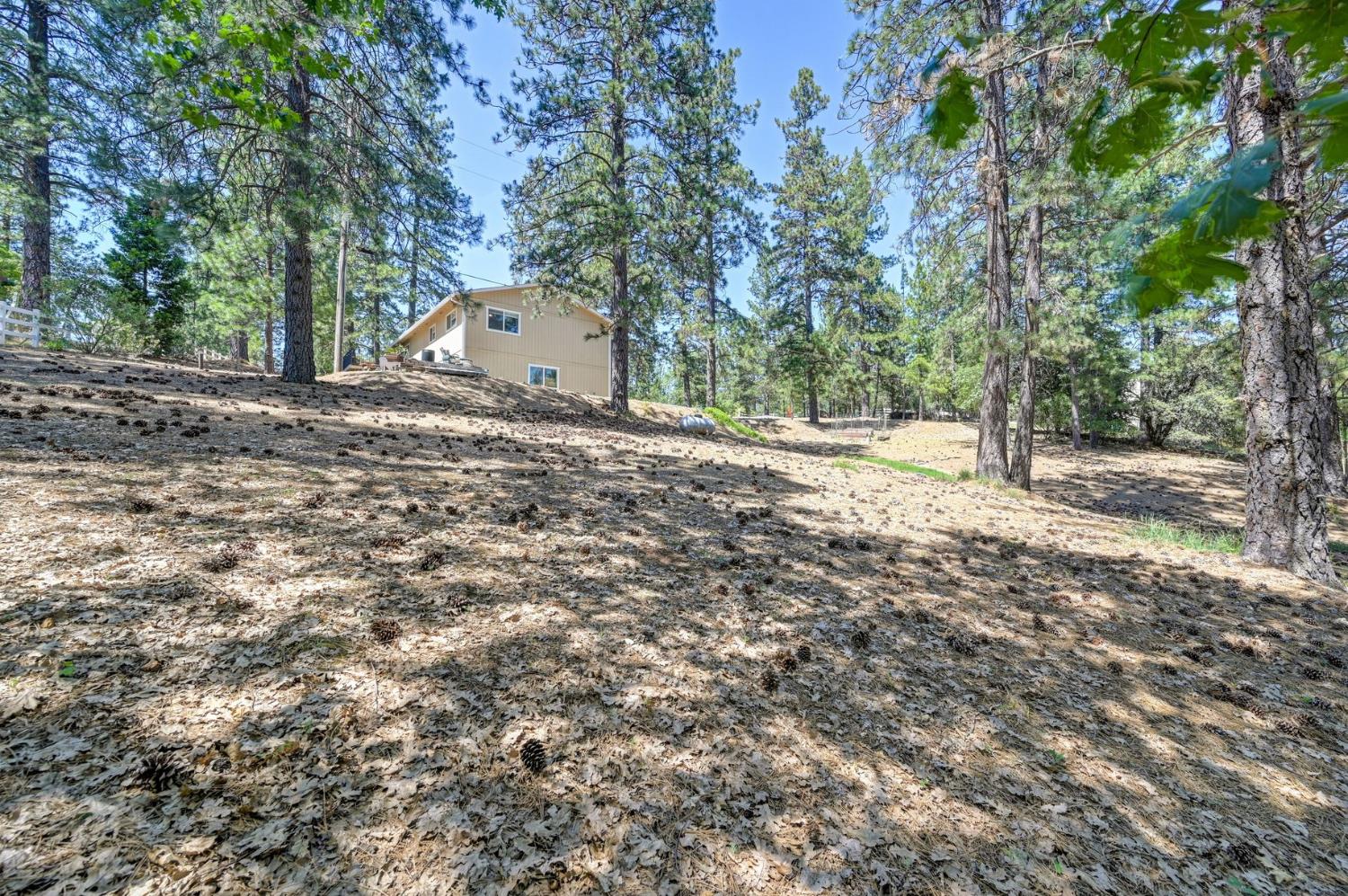 1205 Tokayana Ranch Lane Colfax, CA 95713 - Photo 42 of 60