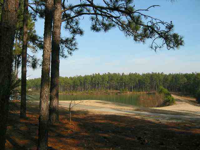 10 Masters Ridge Place Southern Pines, NC 28387 - Photo 1 of 2 Primary Photo