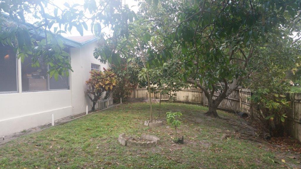 9390 Southwest 2nd Street Boca Raton, FL 33428 - Photo 6 of 7 Backyard_ Mango_ Avocado Trees (003)