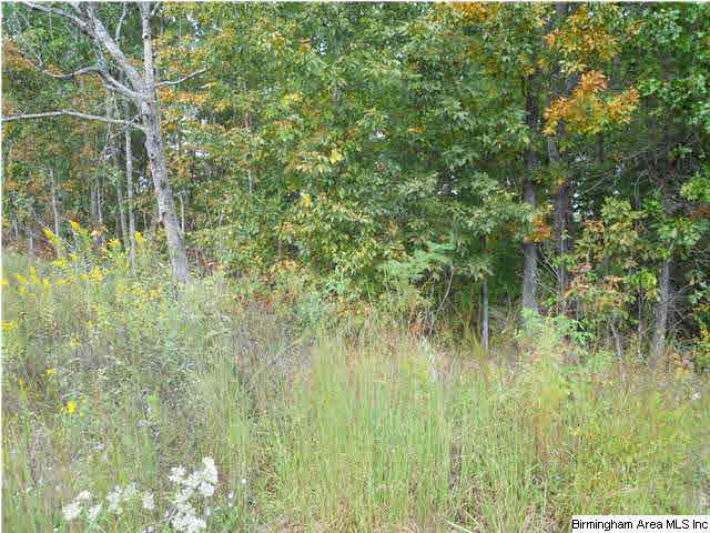 Rocky Road, Unit 58 Sylacauga, AL 35151 - Photo 2 of 7