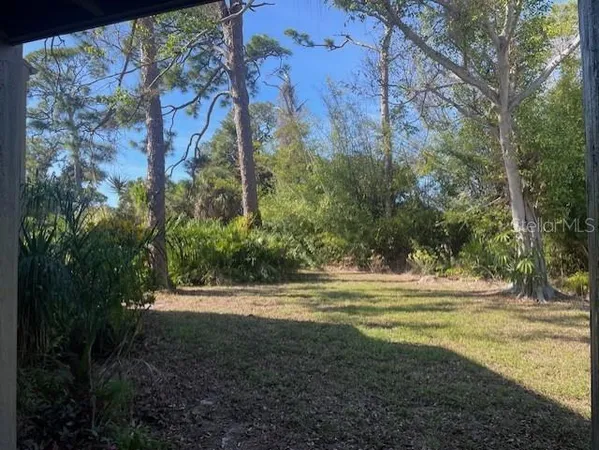 a view of a yard with large trees