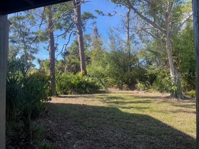 a view of a yard with large trees