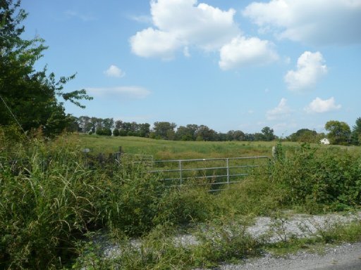 Randolf Fridley Road Sweetwater, TN 37874 - Photo 1 of 1 Primary Photo