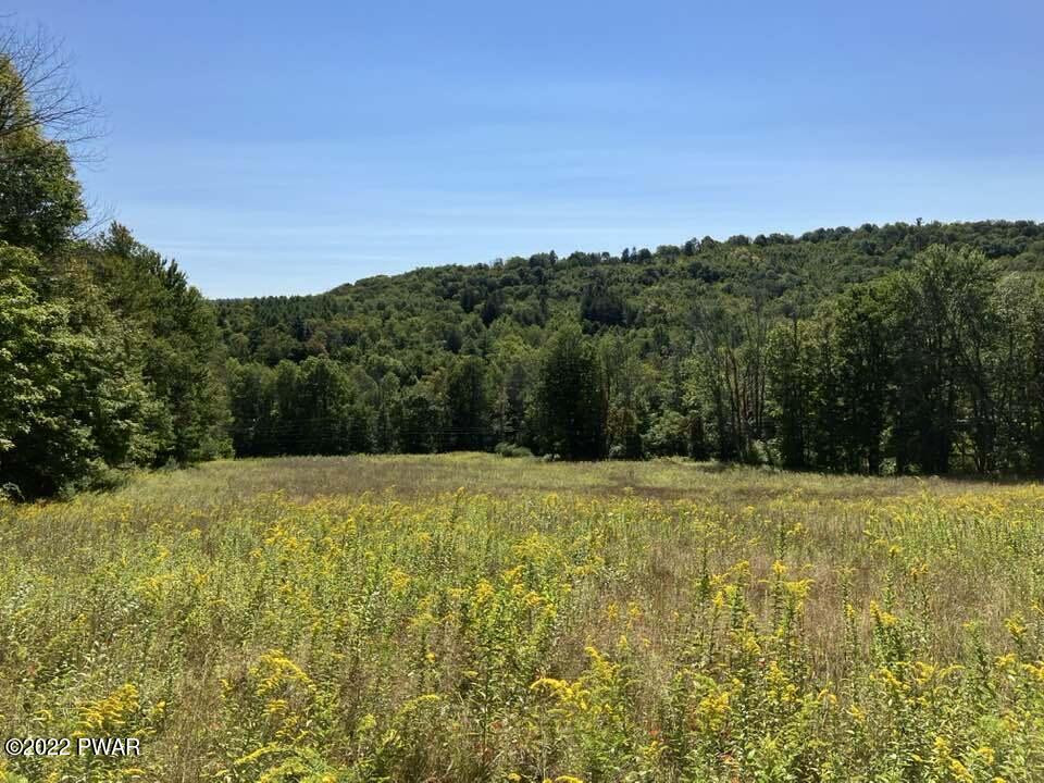 507 Hilltop Road Newfoundland, PA 18445 - Photo 2 of 4