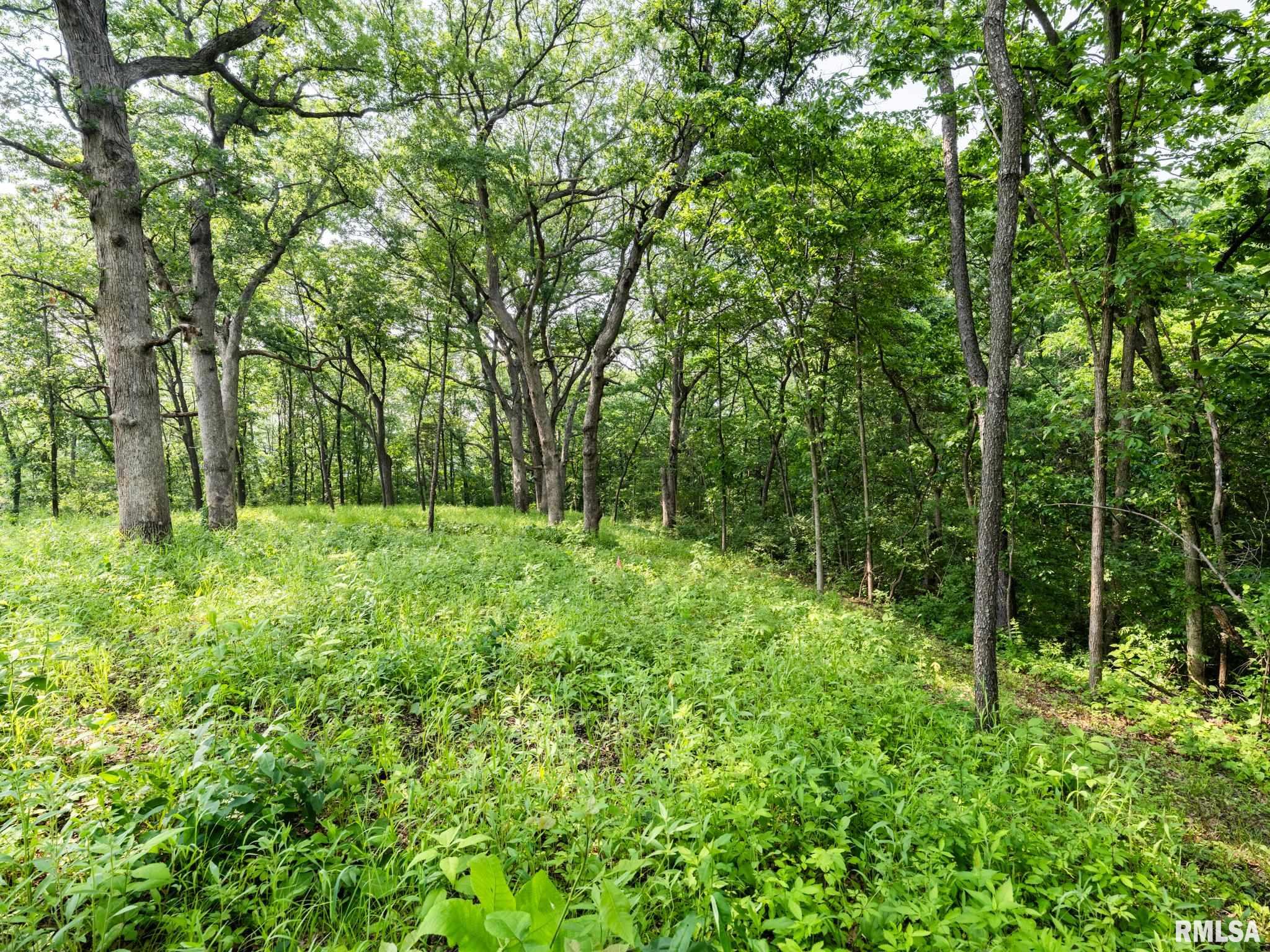 3041 Zion Oaks Road Pekin, IL 61554 - Photo 9 of 26 Gallery Image 9