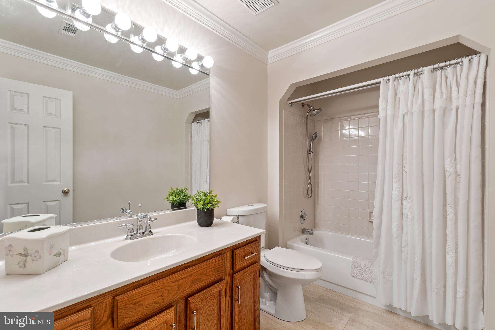 17114 Fitzroy Way Olney, MD 20832 - Photo 22 of 42 Upstairs Hall Bathroom