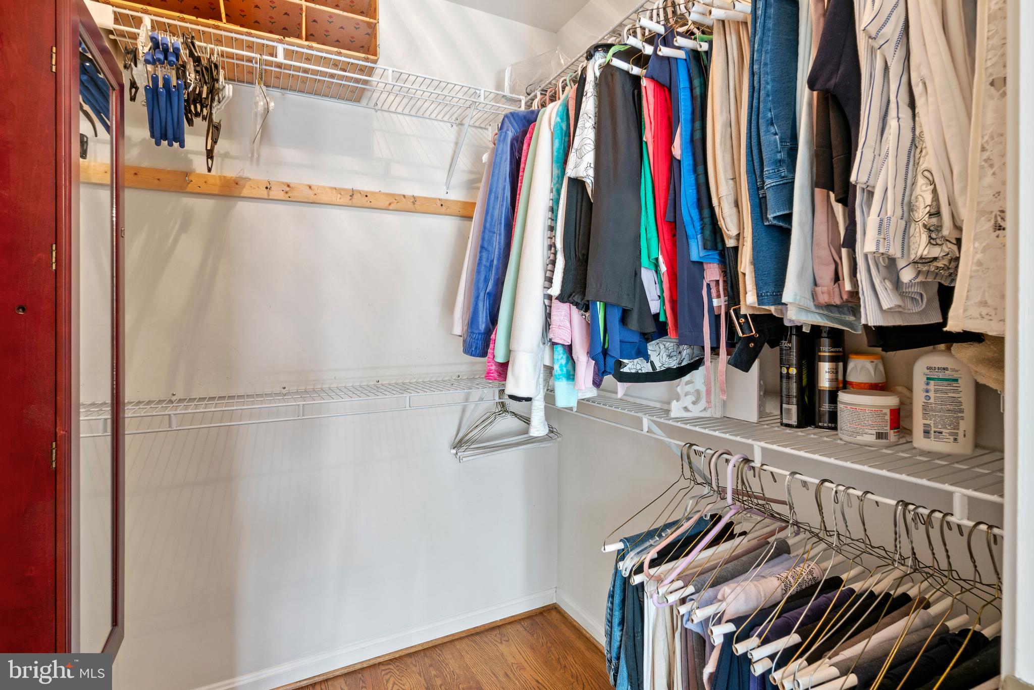 17114 Fitzroy Way Olney, MD 20832 - Photo 28 of 42 Primary Walk in Closet