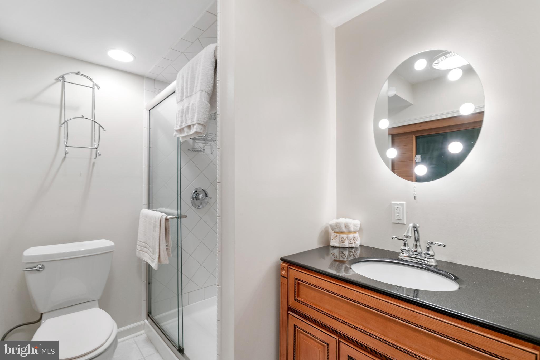 17114 Fitzroy Way Olney, MD 20832 - Photo 33 of 42 Basement Bathroom