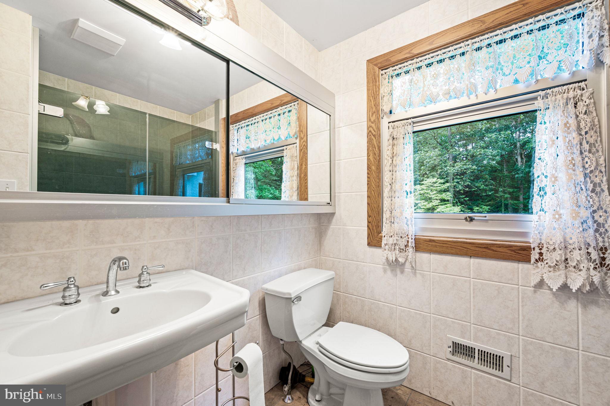 38 Lutz Road Boyertown, PA 19512 - Photo 20 of 49 a bathroom with a sink a toilet and a shower