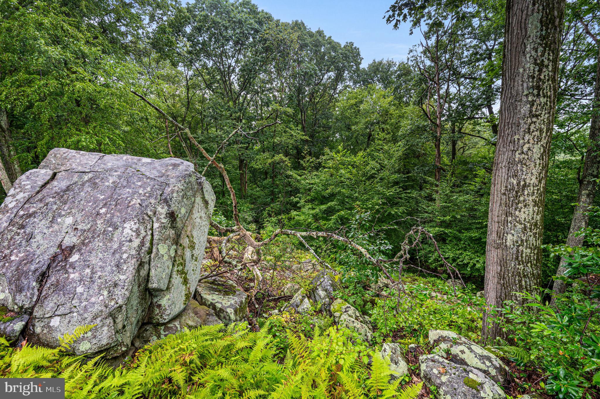 38 Lutz Road Boyertown, PA 19512 - Photo 39 of 49 a view of a backyard