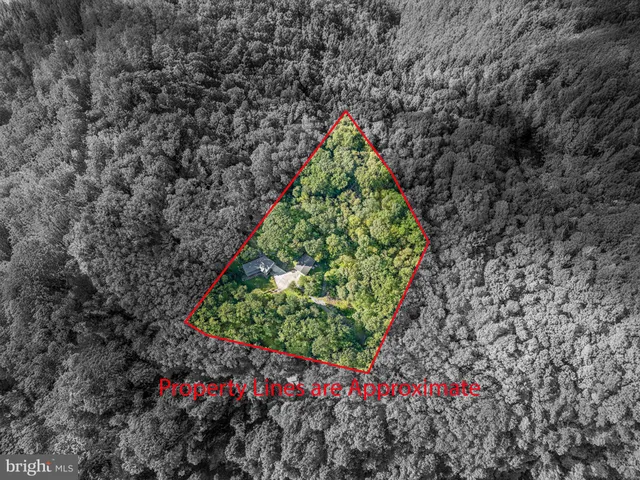 a view of a lush green field