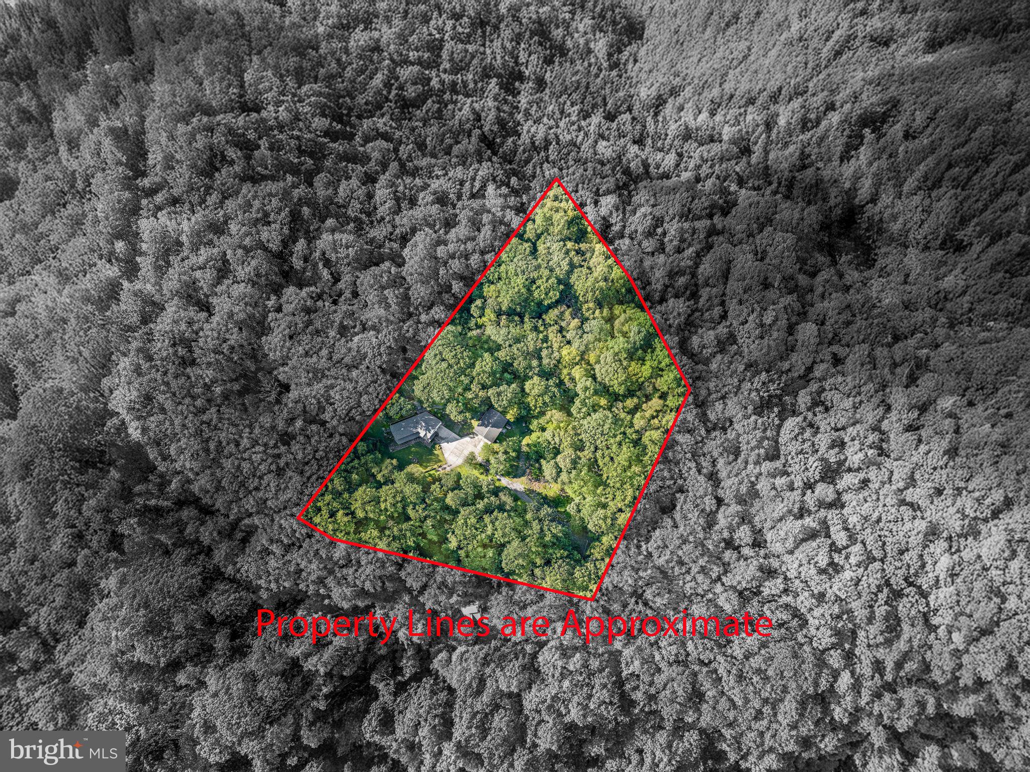 38 Lutz Road Boyertown, PA 19512 - Photo 48 of 49 a picture of flowers