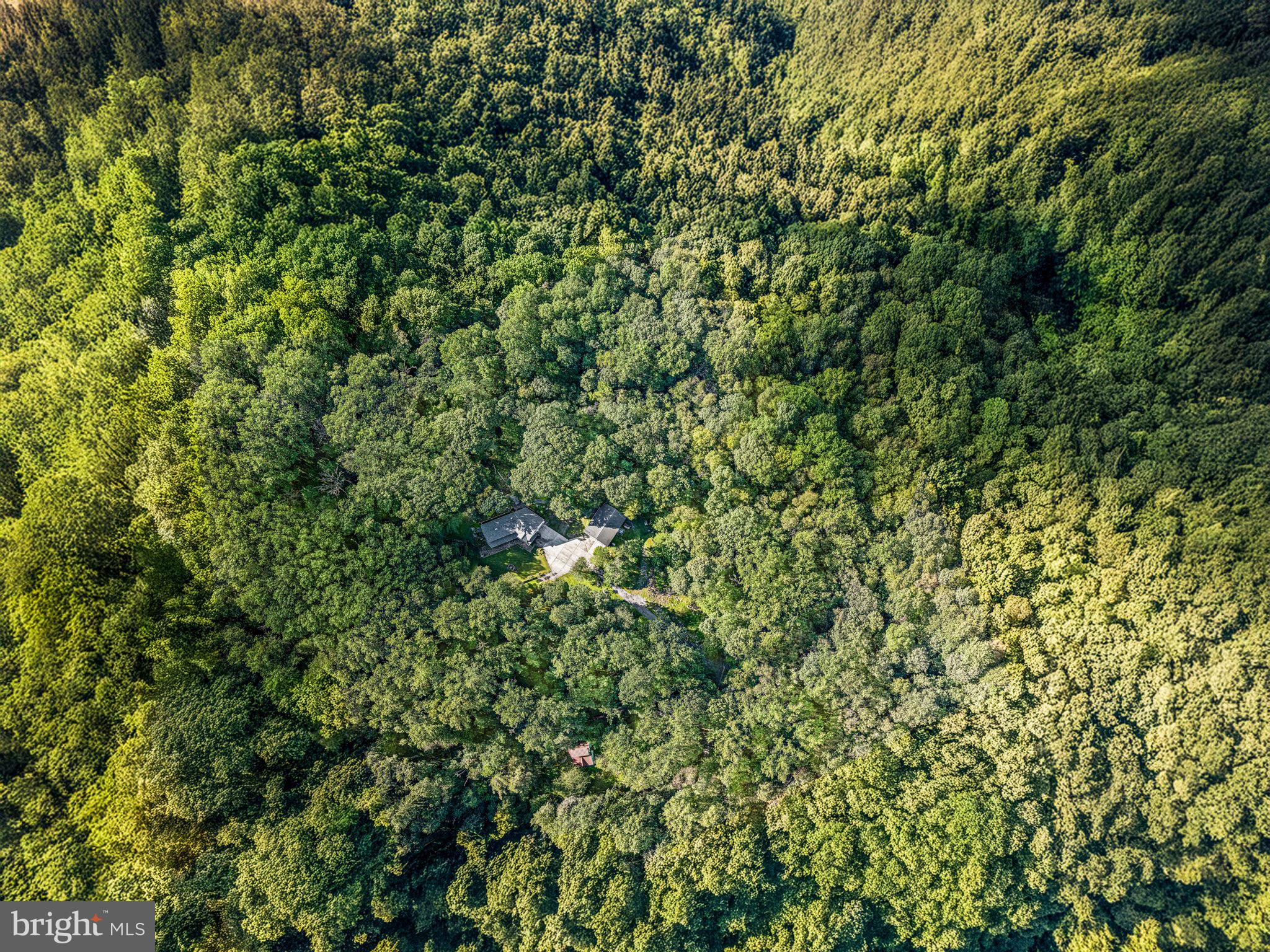 38 Lutz Road Boyertown, PA 19512 - Photo 49 of 49 a view of a lush green field