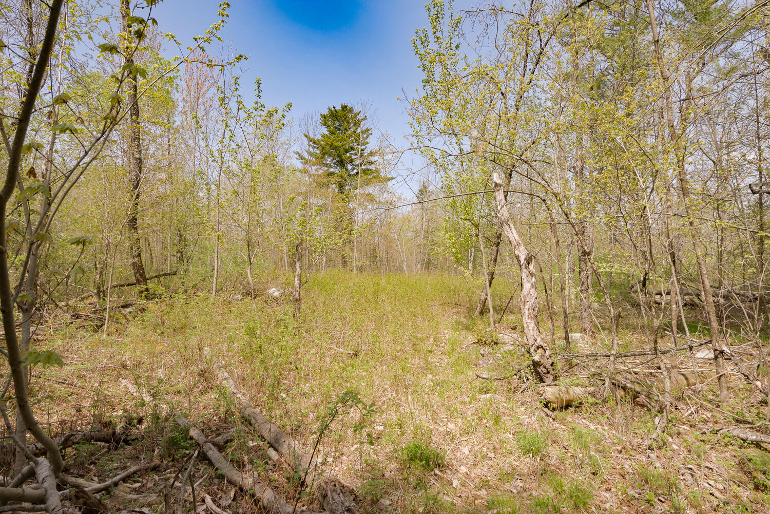 Lot 46-46a Bangor Road Clinton, ME 04927 - Photo 9 of 12 Land