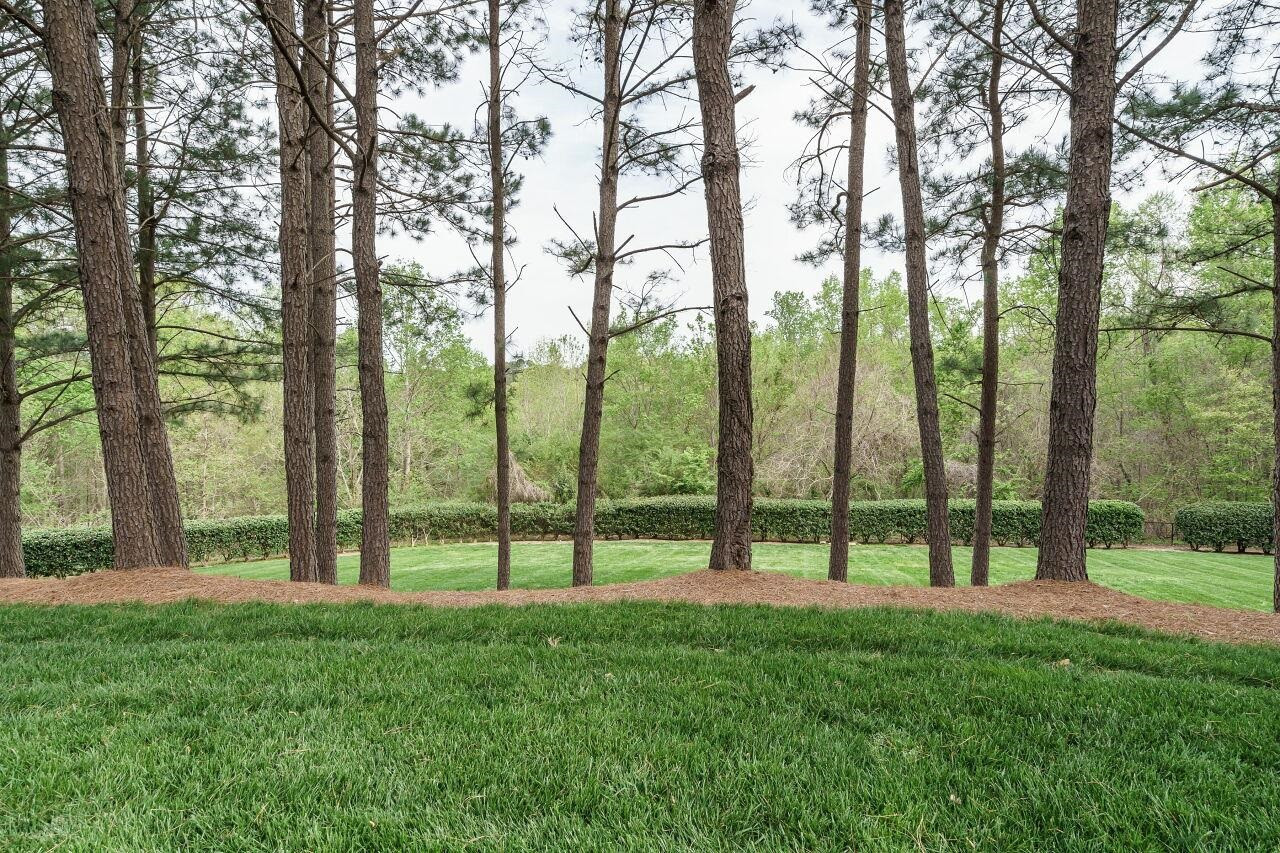 6903 Middleboro Drive Raleigh, NC 27612 - Photo 25 of 26 Exterior Back